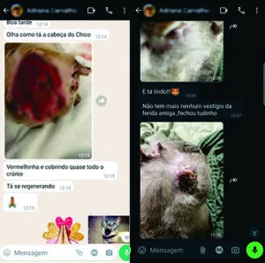 Depoimento Pet